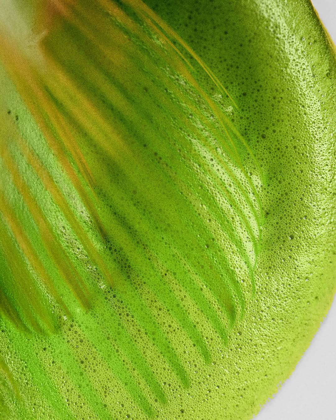 Yamamoto Matcha